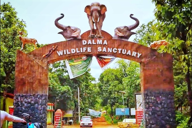Dalma Wildlife Sanctuary, Jamshedpur in Jharkhand